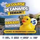 Canard - course de canards
